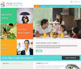 Credit Society Software