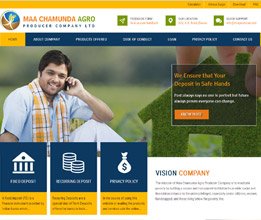 Credit Society Software
