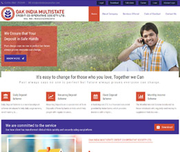 Credit Society Software