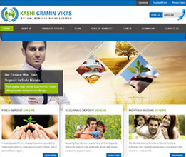 Credit Society Software