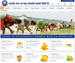 Credit Society Software
