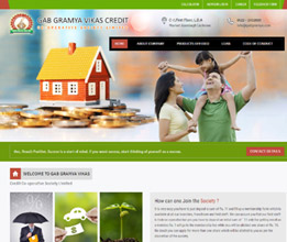Credit Society Software