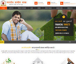 Credit Society Software