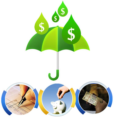 Credit Society Software